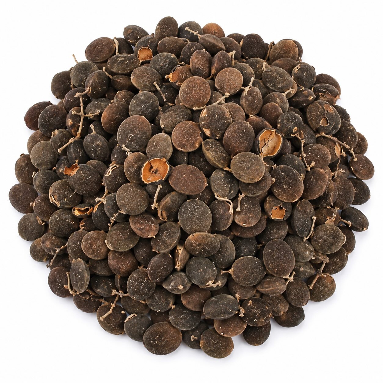 Tamarind